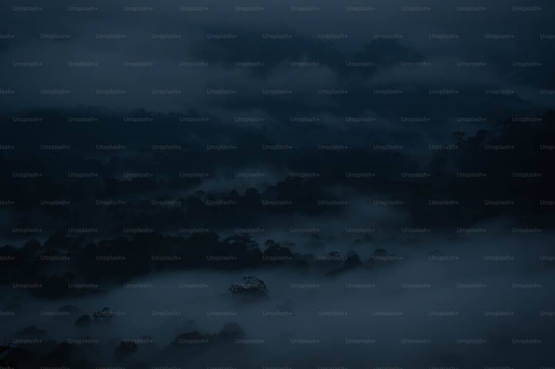 《东极岛》现在还有人住吗？